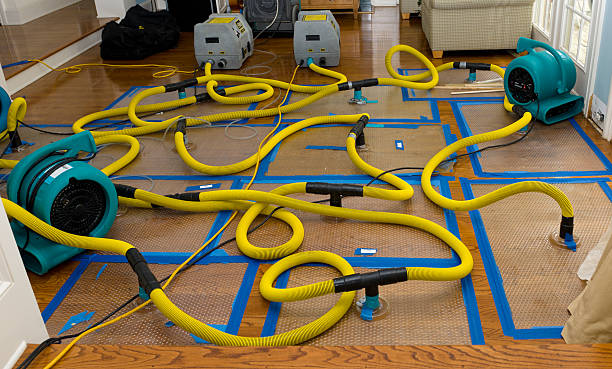 Professional Crawl Space Water Removal technician working in Estillfork, AL